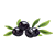 Black Olives